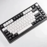 Fuhlen H75S RGB panda ttd 13