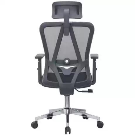 E-Dra EEC213 Black Ergonomic Office Chair 2 E-Dra EEC213 Black Ergonomic Office Chair - Ảnh 2