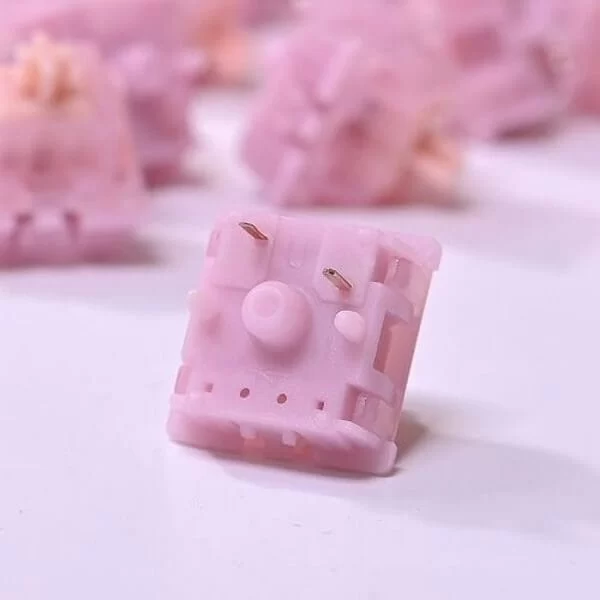 Gateron X Swagkey Switch Pure Berry Switch - 62g, POM linear Long stem, 5-pin PCB, Factory lubed 4 Gateron X Swagkey Switch Pure Berry Switch - 62g, POM linear Long stem, 5-pin PCB, Factory lubed - Ảnh 4