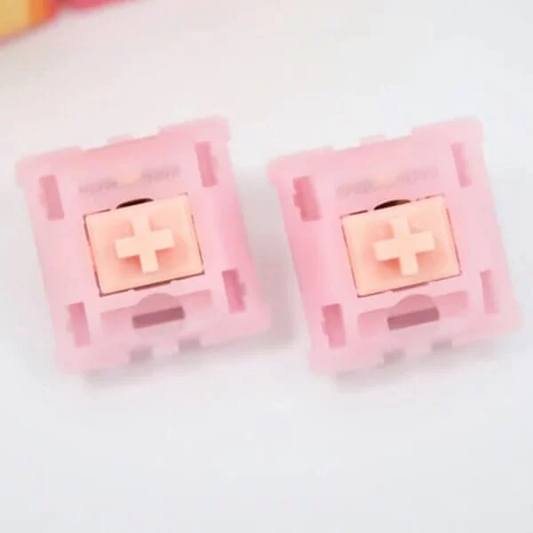 Gateron X Swagkey Switch Pure Berry Switch - 62g, POM linear Long stem, 5-pin PCB, Factory lubed 3 Gateron X Swagkey Switch Pure Berry Switch - 62g, POM linear Long stem, 5-pin PCB, Factory lubed - Ảnh 3