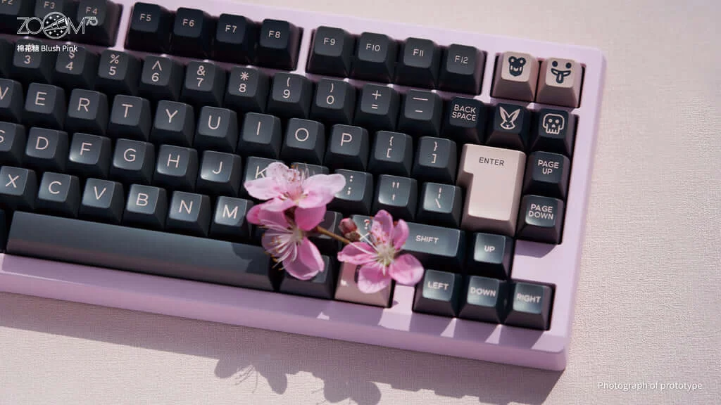 Zoom75 Essential Edition Custom Keyboard - Case Blush Pink - Backplate Glass Blush Pink 6 Zoom75 Essential Edition Custom Keyboard - Case Blush Pink - Backplate Glass Blush Pink - Ảnh 6