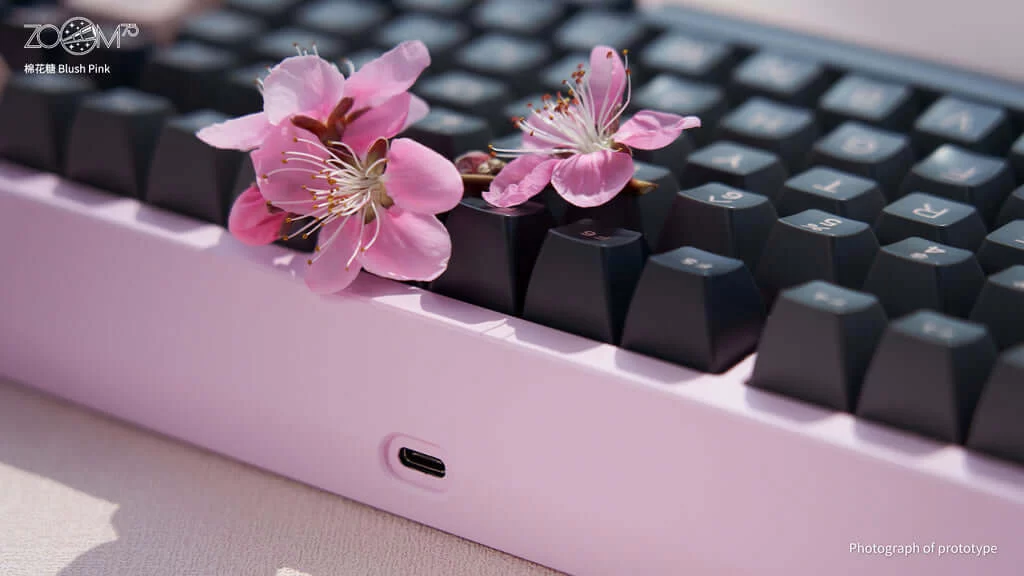 Zoom75 Essential Edition Custom Keyboard - Case Blush Pink - Backplate Glass Blush Pink 8 Zoom75 Essential Edition Custom Keyboard - Case Blush Pink - Backplate Glass Blush Pink - Ảnh 8