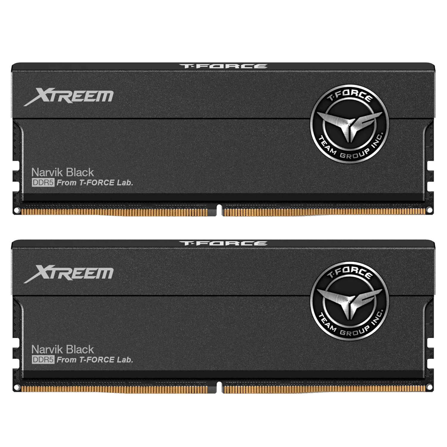 TEAMGROUP T-Force XTREEM DDR5 Black 48GB Memory Kit - Black, 48GB (2x24GB) 8200MHz CL38 DDR5 (FFXD548G8200HC38EDC01) 1 TEAMGROUP T-Force XTREEM DDR5 Black 48GB Memory Kit - Black, 48GB (2x24GB) 8200MHz CL38 DDR5 (FFXD548G8200HC38EDC01)