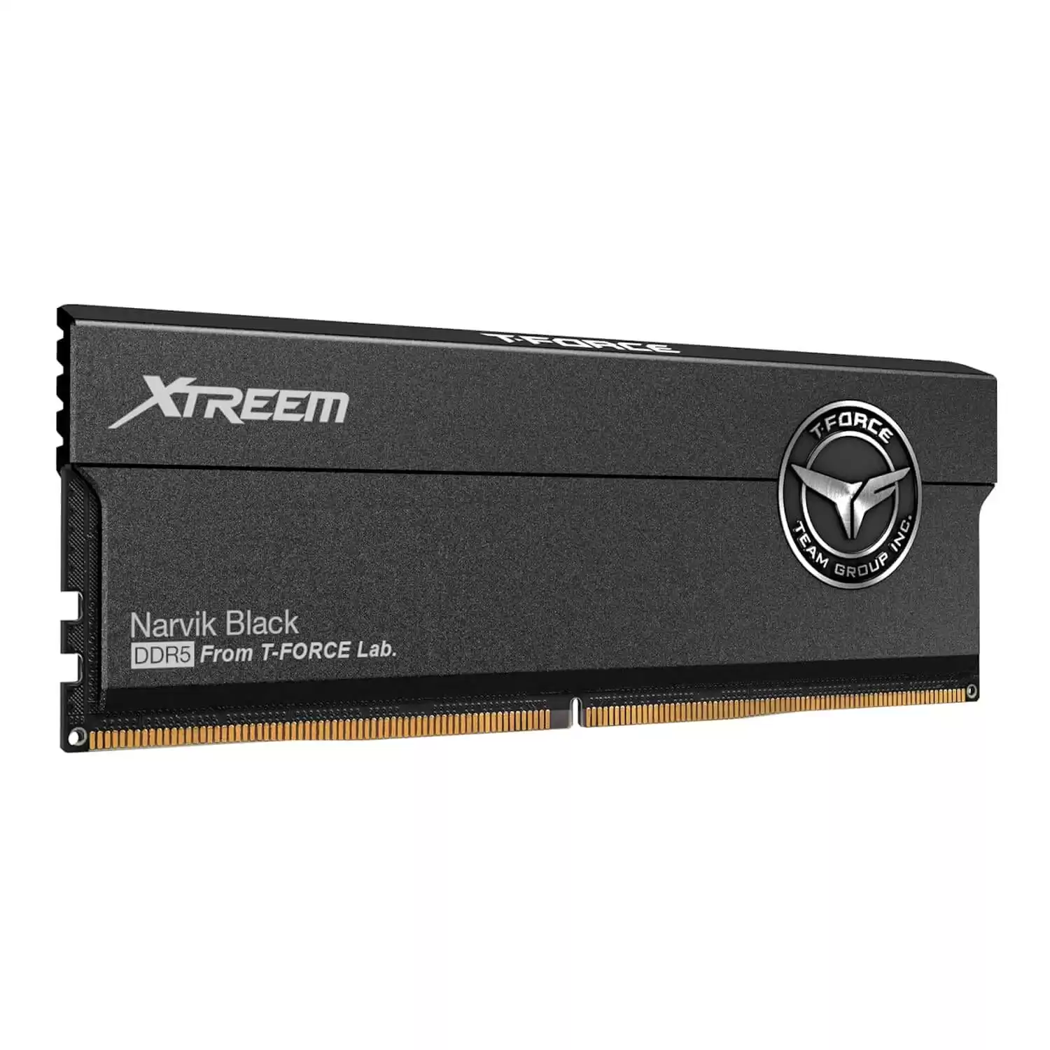TEAMGROUP T-Force XTREEM DDR5 Black 48GB Memory Kit - Black, 48GB (2x24GB) 8200MHz CL38 DDR5 (FFXD548G8200HC38EDC01) 3 TEAMGROUP T-Force XTREEM DDR5 Black 48GB Memory Kit - Black, 48GB (2x24GB) 8200MHz CL38 DDR5 (FFXD548G8200HC38EDC01) - Ảnh 3