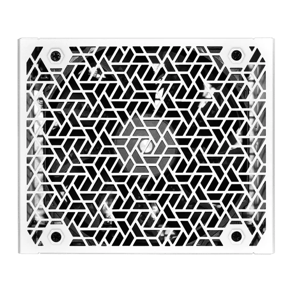 SuperFlower Leadex VIII Platinum Pro 1200W ATX 3.1 Cybenetics Platinum SF-1200F14SP(T) PSU 5 SuperFlower Leadex VIII Platinum Pro 1200W ATX 3.1 Cybenetics Platinum SF-1200F14SP(T) PSU - Ảnh 5